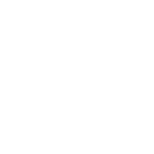 Caribbean Integration Consultants